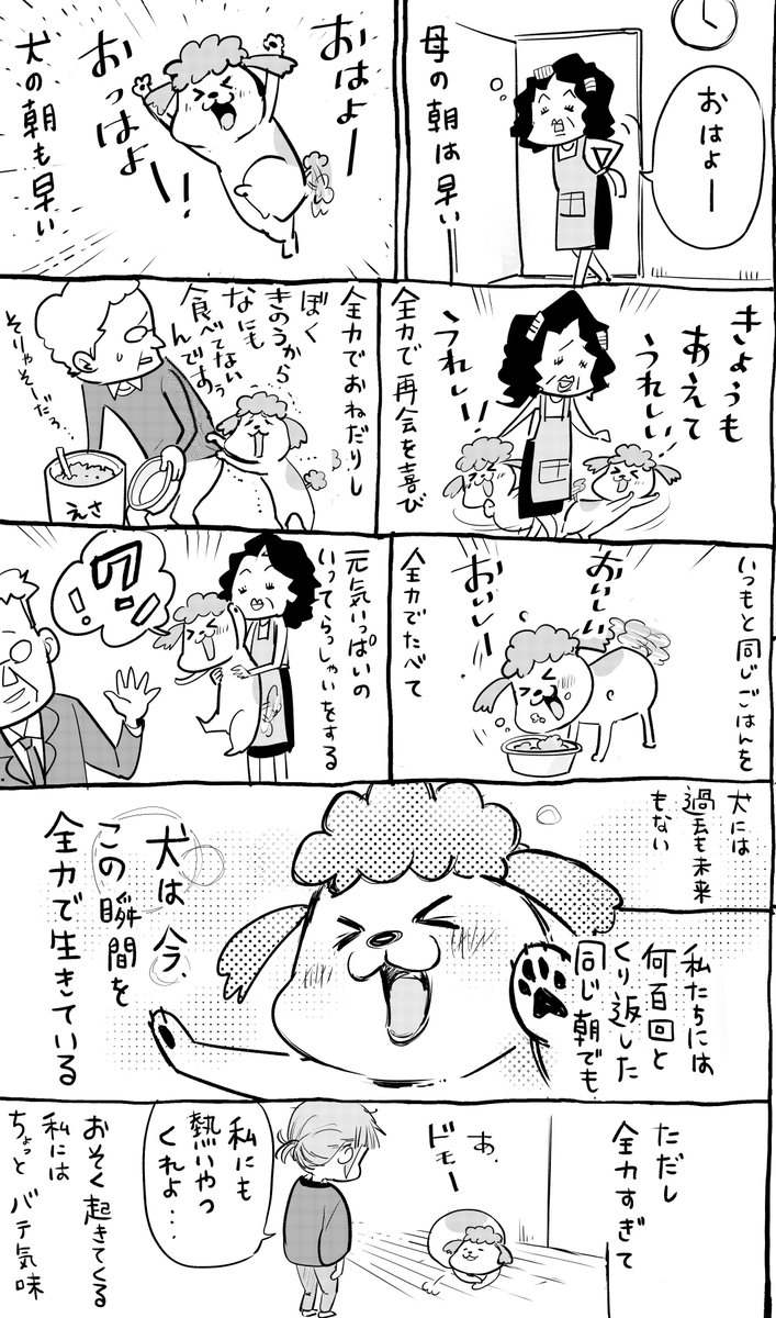 犬と猫どっちも飼ってると、早起きも寝坊もなんでも楽しい。 