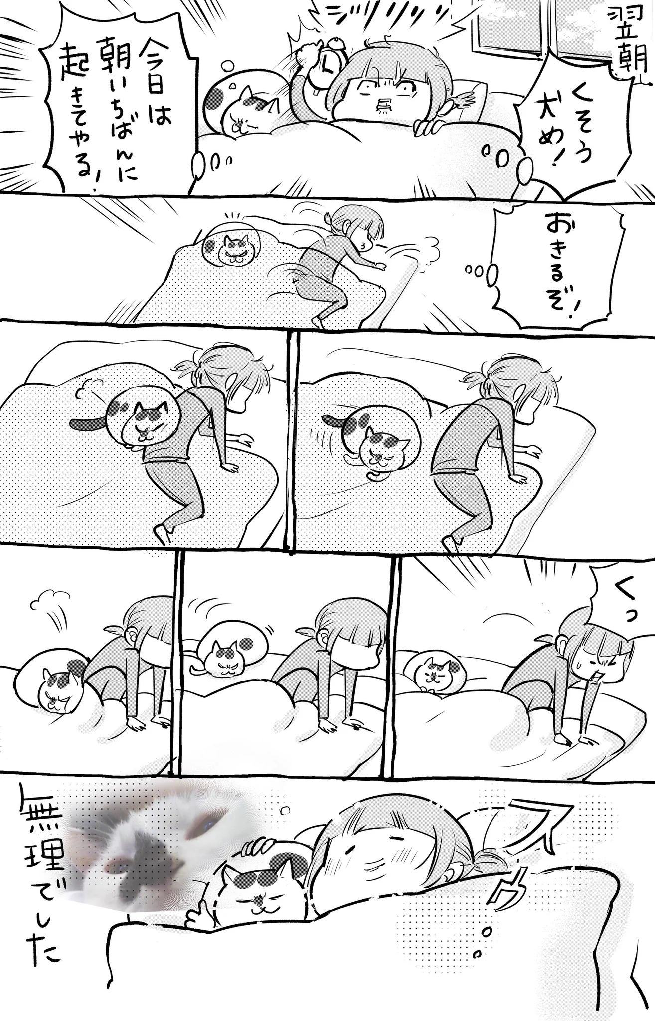 犬と猫どっちも飼っていると、とにかく朝から楽しそうww