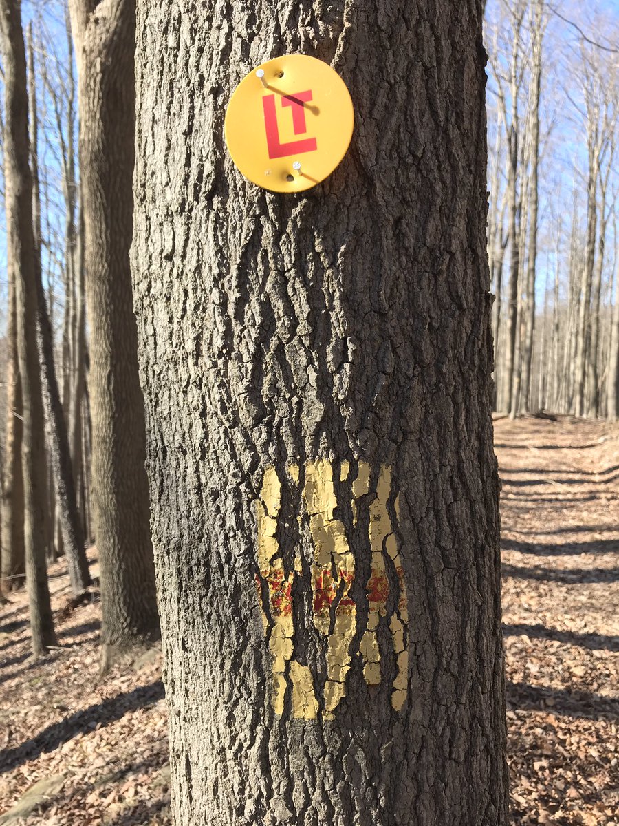 _willash's tweet photo. With 5 weeks until @thenorthfaceECS #ECSDC, we headed north to the #EndlessMountains of @PennsylvaniaGov for this week’s long run. Felt like the entire return was uphill. Now I see why. 😬 #LoyalsockTrail #TrailRunning #OhMyClimb https://t.co/dd9WCfiDgy