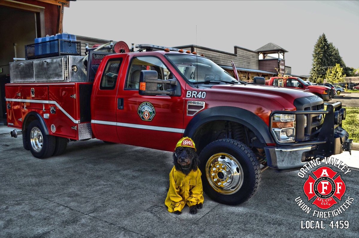 IAFF4459's tweet photo. Happy National Puppy Day from your #OrtingFirefighters and Gilbert. #nationalpuppyday #IAFF #UnionPuppy https://t.co/cHICgyhh5M
