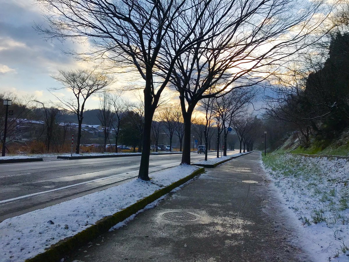 金沢大学soltilo Field 公式 おはようございます 朝起きて 外を見てみると えっ 白っ 雪 雪やん 驚いた方も多いのでは まだ冬だということなのか しかし 気分だけでも春仕様に 桜 でいいね も に変わります 金沢大学