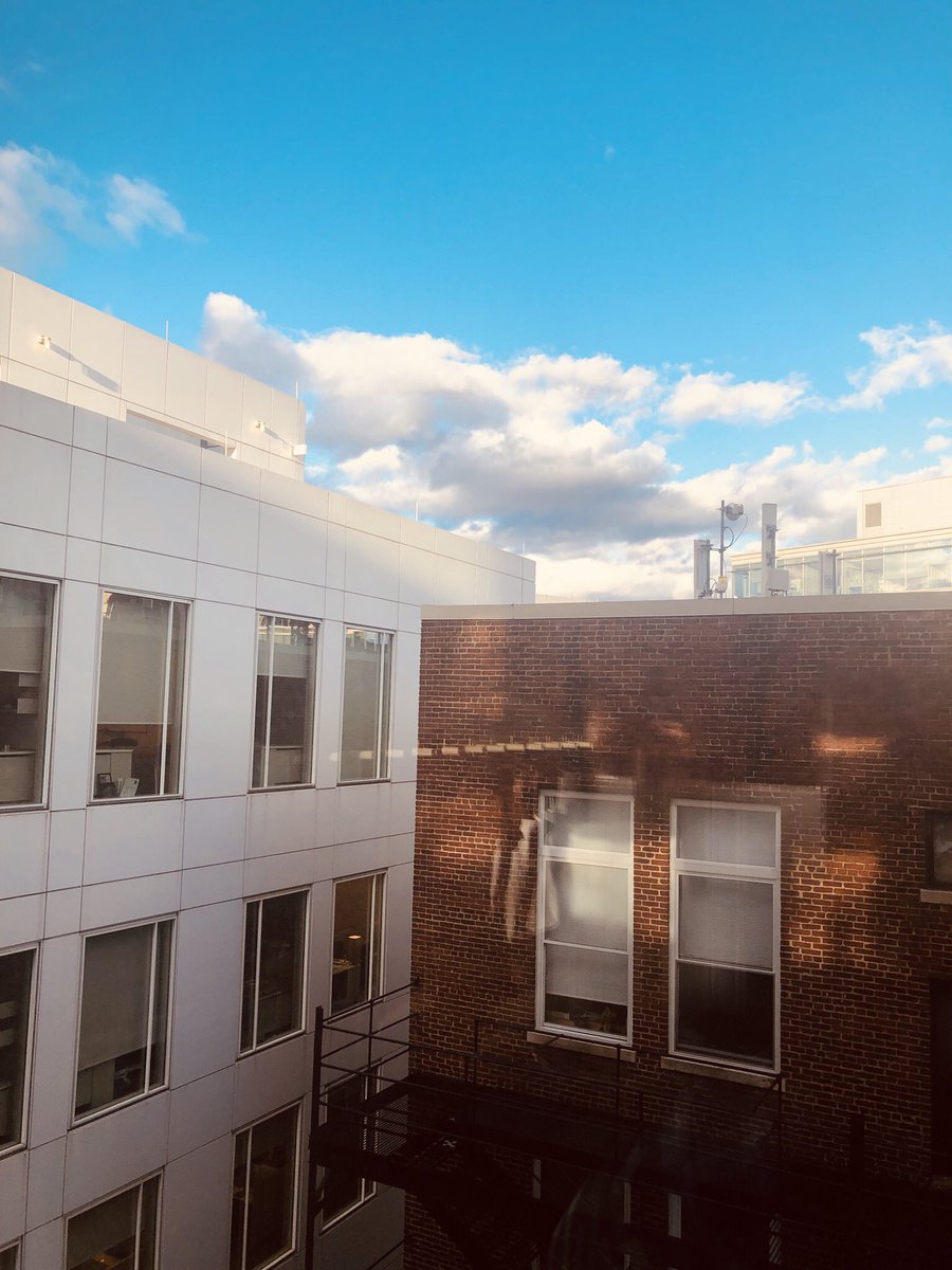 View from my hotel room #atthemoxy