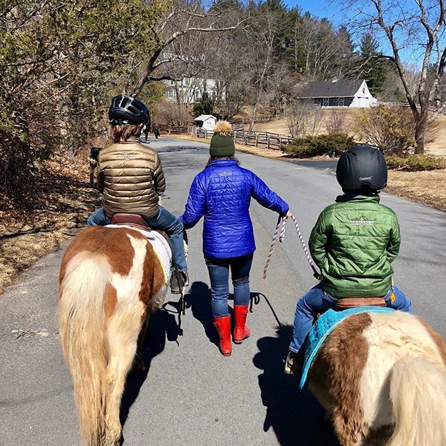 Protector Boats tweet media