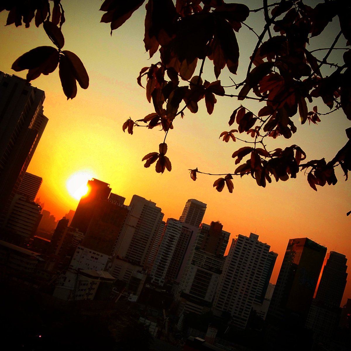 Sage862's tweet photo. It seems impossible to watch the sunset, and not think of you. 
#bangkoksunset 
#watergarden 
#youandthesunset https://t.co/MmoVRiEgWm