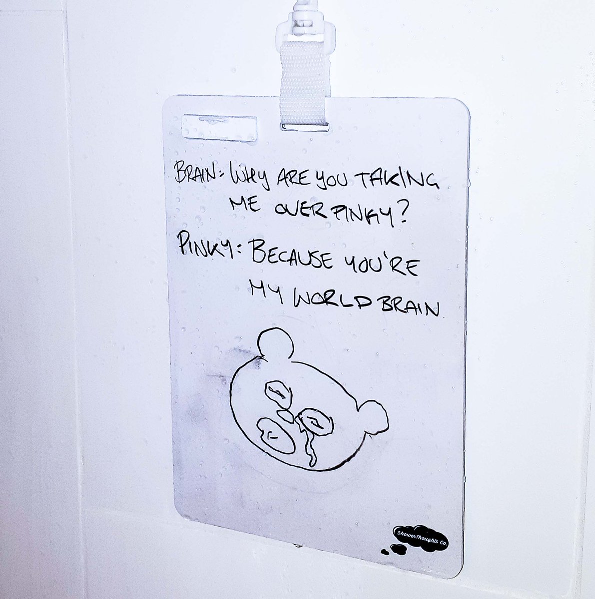 co_shower's tweet photo. Oh I miss Pinky and the Brain, who else?
.
.
.
.
#showerthoughtsboard #showerthoughts #showerthoughtsco #90skids #90s #pinkyandthebrain #reddit #youaremyworld #lols #9gag #showerthought #love #bromance #90smeme https://t.co/MunygiYnF8