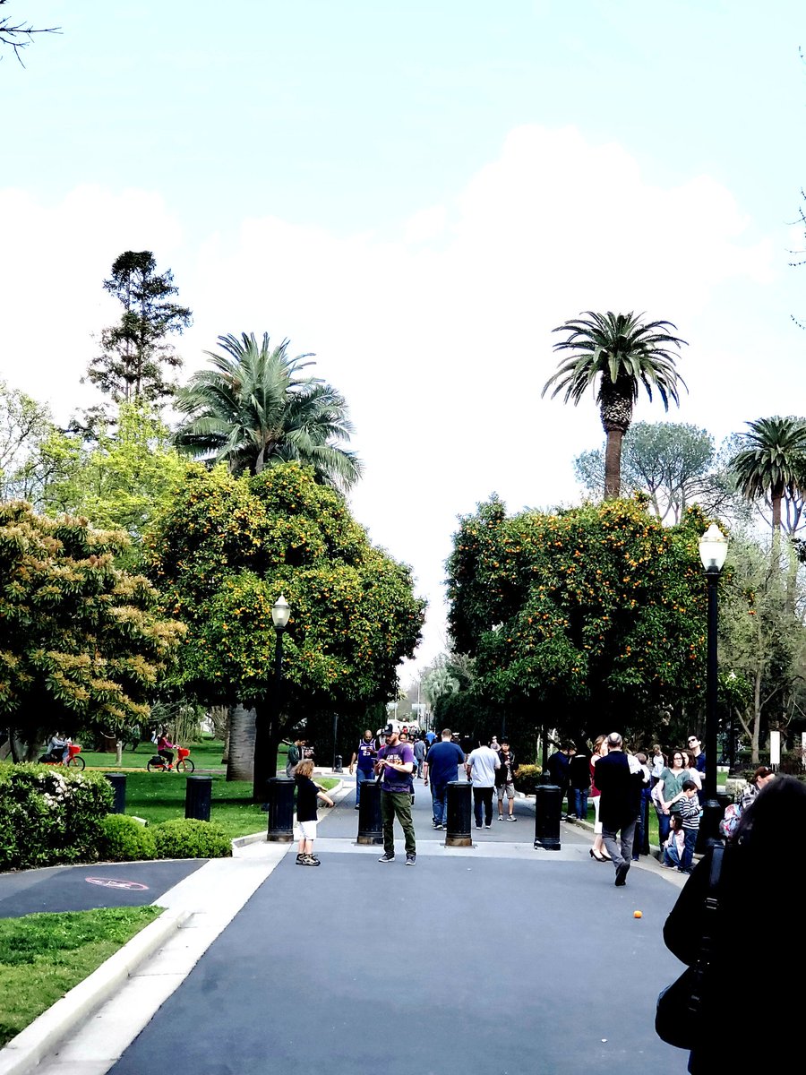 Cruize420's tweet photo. #PokemonGOCommunityDay #PokemonGO #success #Sacramento https://t.co/Dpndsicr3o