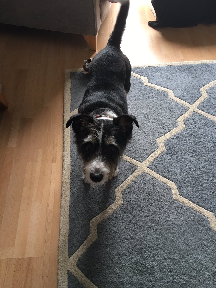 Scott 🏴󠁧󠁢󠁷󠁬󠁳󠁿 tweet media