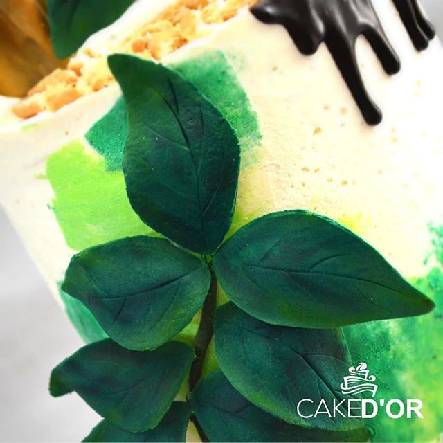 cakedorcouture's tweet photo. Some fondant foliage! https://t.co/CeYpFGS93E https://t.co/OZPu9V95aO