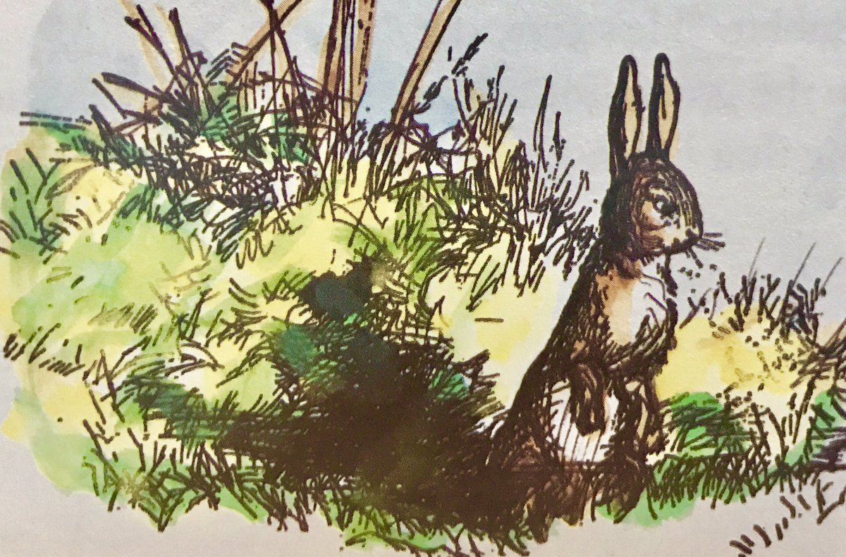 A_AMilne's tweet photo. Rabbit came out of his house and sniffed the warm spring morning. He curled his whiskers in the sun and trotted off to the left, which was the way to Christopher Robin's house. "After all," said Rabbit to himself, "Christopher Robin depends on me." ~A.A.Milne #SundayMotivation https://t.co/yw9tJkdkha