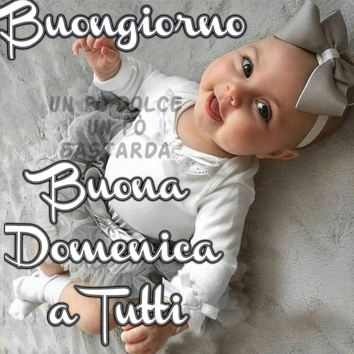 Stella (@stella67474838) on Twitter photo 