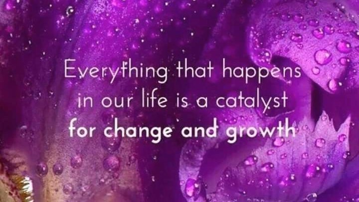 tript_rai's tweet image. #Growth