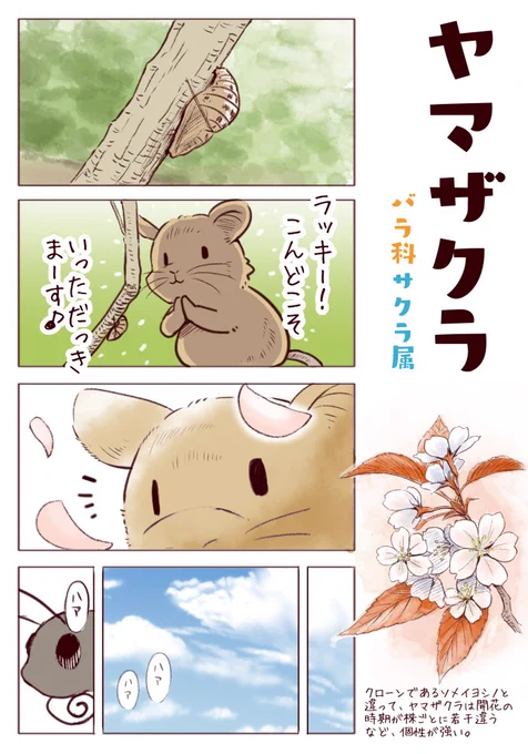 わいるどらいふっ！第132種
スプリング・エフェメラル～春の儚い命～
その２  