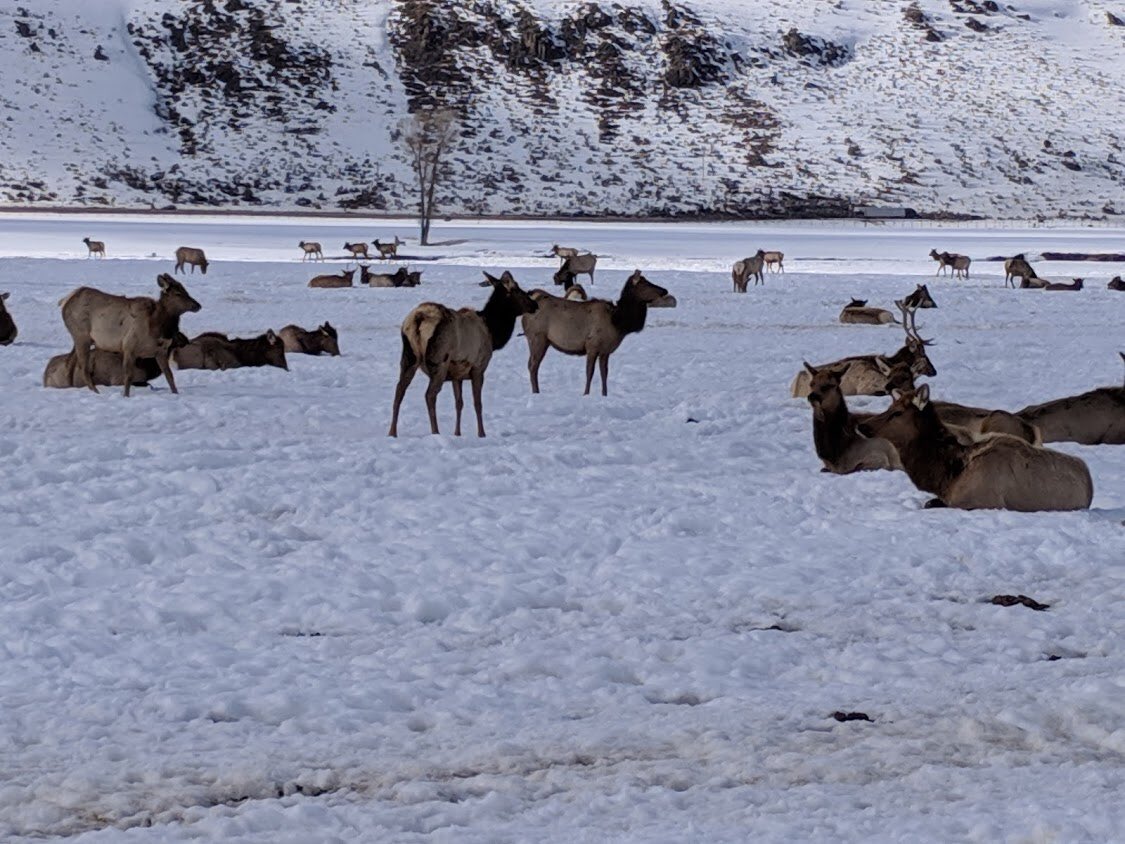 PrincipalHutton's tweet photo. Some more pictures from the Monmouth College and Central Intermediate Teton school trip. What an amazing experience for our staff! So excited to hear how we can use this back in Monmouth, IL. #ruraleducators #pbl https://t.co/5ZxHKADf4Z