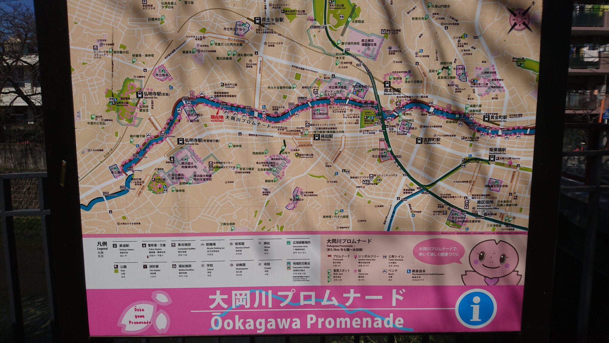 Uzivatel 三浦のぶひろ Na Twitteru 横浜市南区 大岡川プロムナード にて 京急弘明寺駅から黄金町駅までの大岡川 沿いに桜が 桜の花がちらほら プロムナード沿いに出店が多数 春の名所です 是非 横浜市南区に足をお運び下さい Uzivatel 三浦のぶひろ Na Twitteru 横浜市南区 大岡川プロムナード にて 京急弘明寺駅から黄金町駅までの大岡川 沿いに桜が 桜の花がちらほら プロムナード沿いに出店が多数 春の名所です 是非 横浜市南区に足をお運び下さい