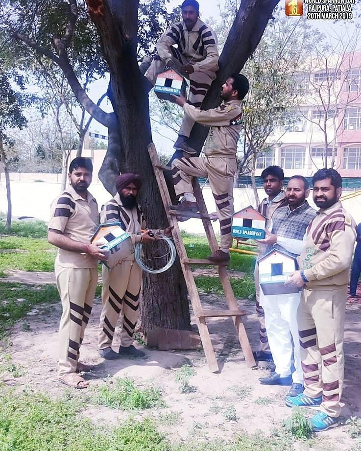 insan_Ninder_7's tweet photo. #DSSWelfareWorksMarchWeek4
#saintdrgurmeetramrahimsinghji #derasachasauda #gurmeetramrahim #saintmsg #babaramrahim https://t.co/VqAl5yEdhd
