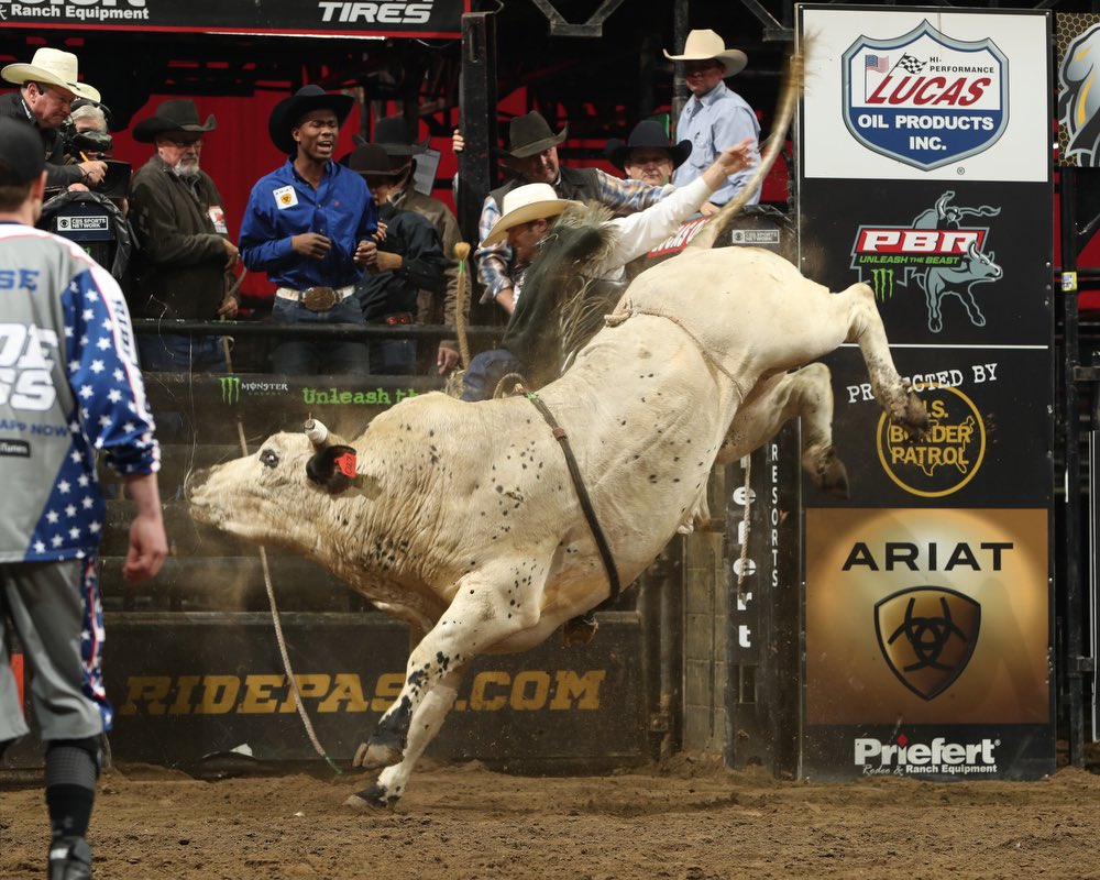 AmericanBuckingBull tweet media