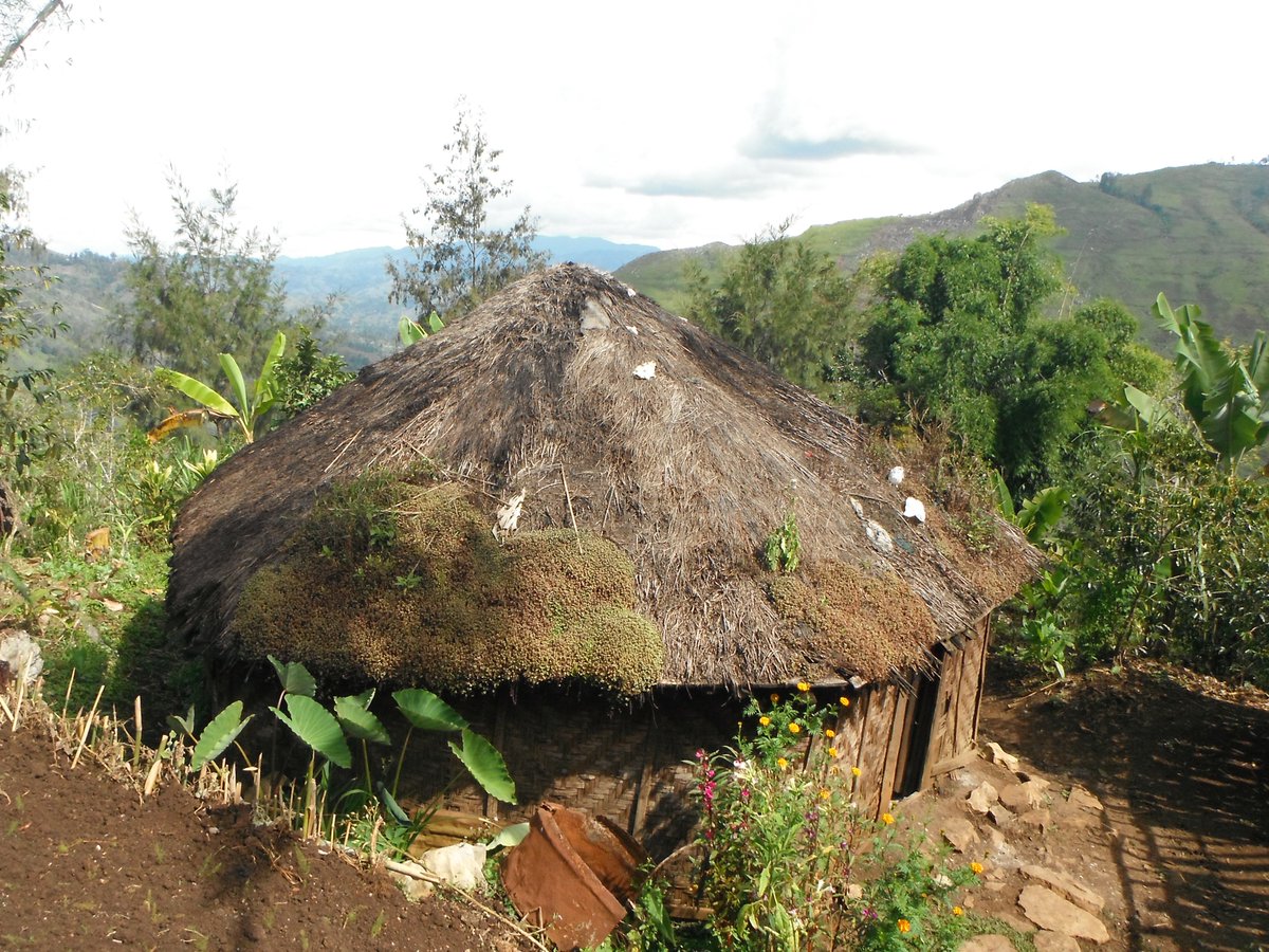 JnrKama's tweet photo. #hauskunai -#RaunHaus #Bawo's hut #tokma #kupau #kuheaven #gungo #ongagl #simbaiku #kamkuzzprince #PNG #niugini #Melanesian #Pacific https://t.co/dTFl3xkaVM