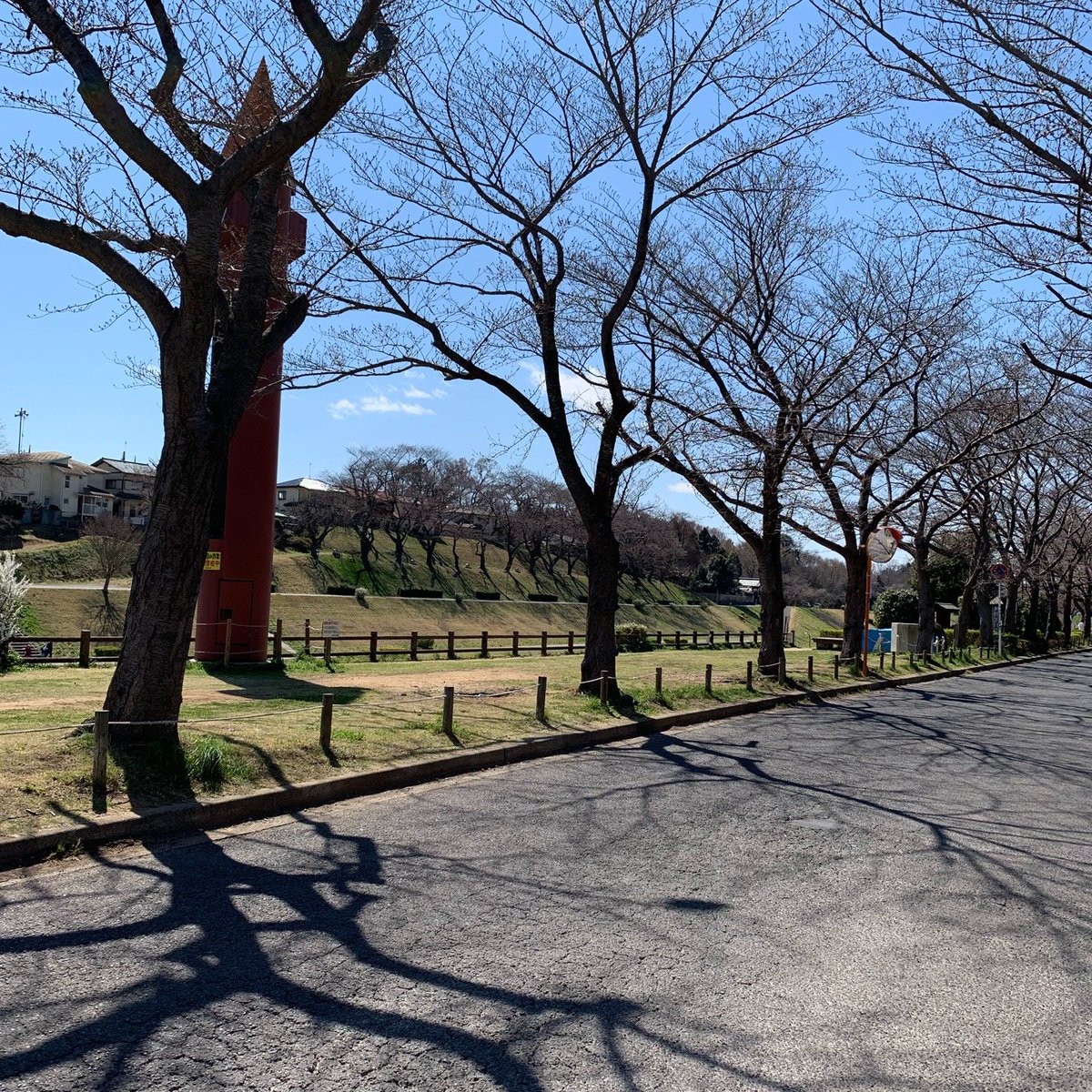 利根運河 運河水辺公園(5)