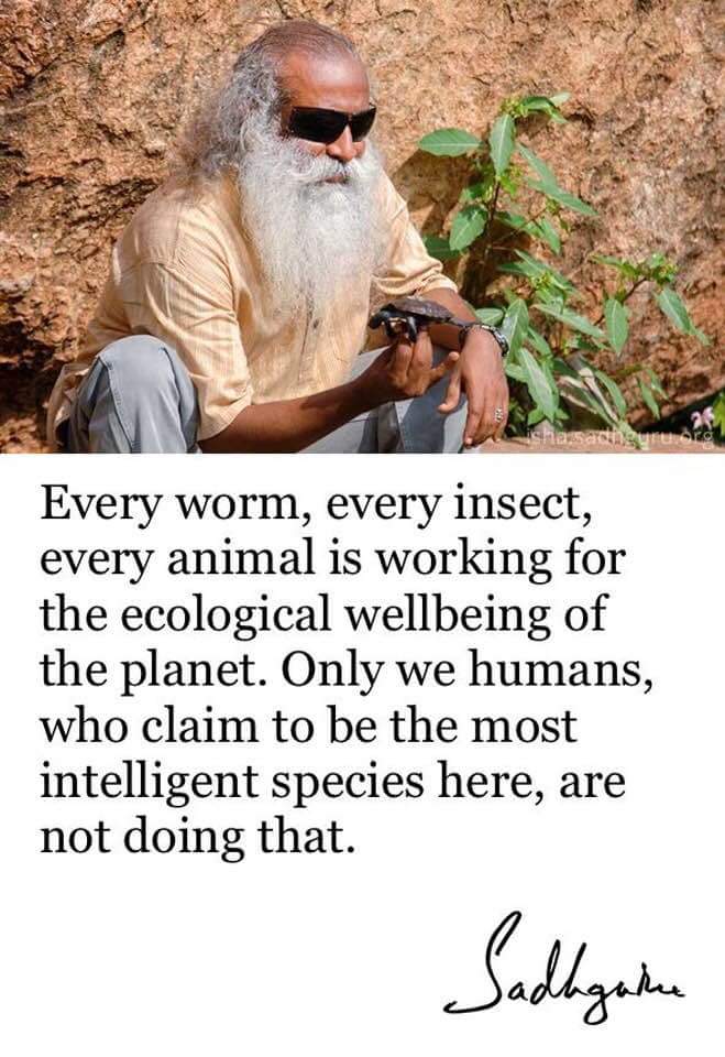 Jain_Samarth_In's tweet photo. Worth a thought https://t.co/ezvr5febbo