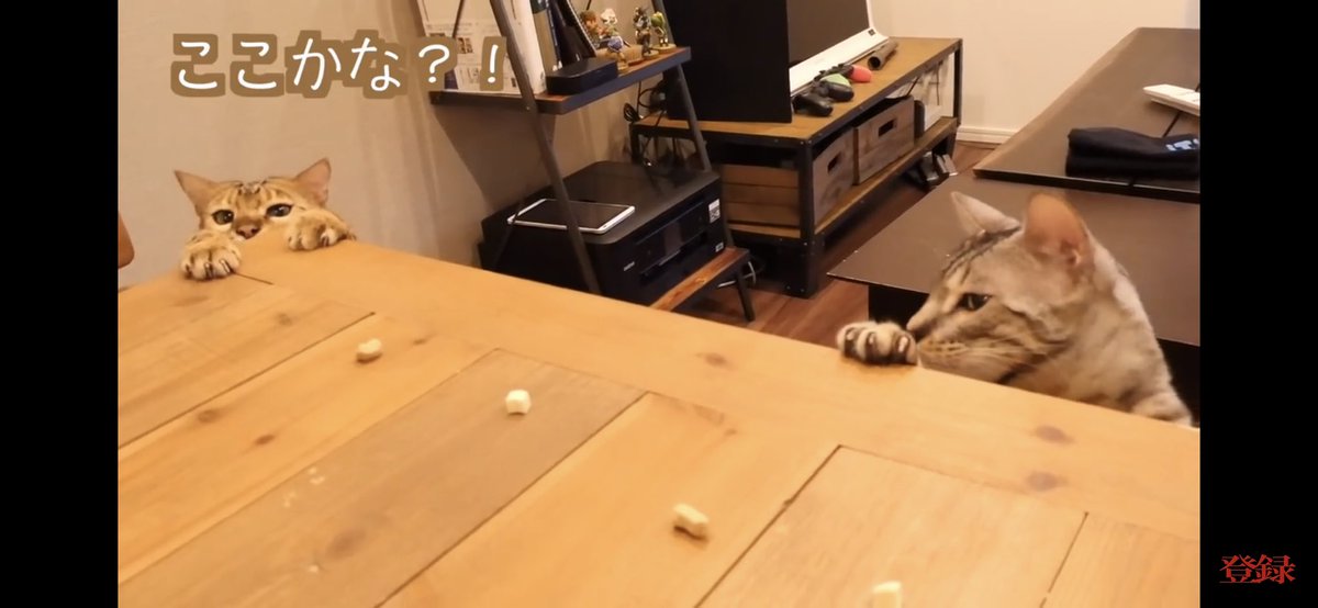 mykLAND__'s tweet photo. スクショみてたら出てきた！
このロゼすき🥰
冷たい目でみるルトゥもなんとも言えん顔ですき( 笑 )
プレゼント企画当たるとええなぁ https://t.co/35jKWGqaI2