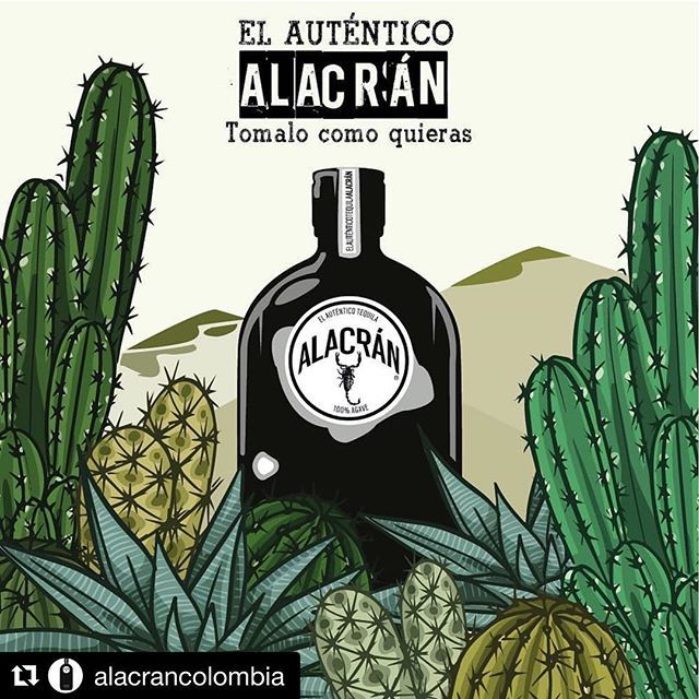TequilaAlacran's tweet photo. Que buena ilustración, gracias @tobby_1998 @jlc7x3 https://t.co/iLgXnTt8Ei