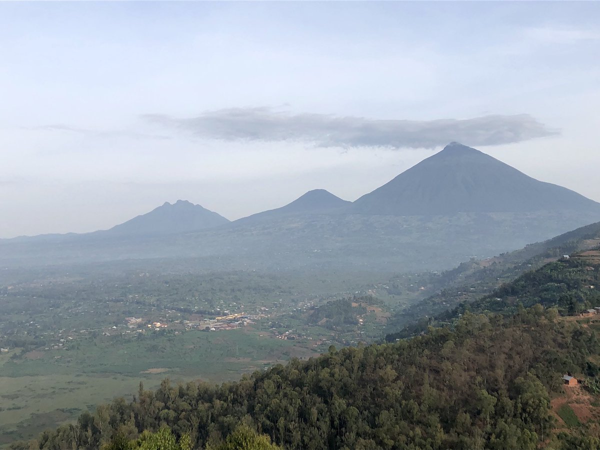 JennyOhlssons's tweet photo. Breakfast with a view. The mountain gorillas did pick a a good place on earth. Good morning! #VisitRwanda https://t.co/UhYSQ7wKet