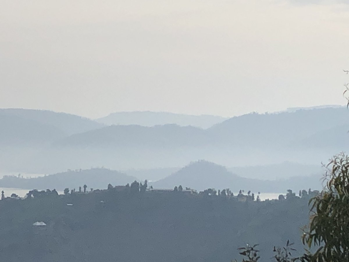 JennyOhlssons's tweet photo. Breakfast with a view. The mountain gorillas did pick a a good place on earth. Good morning! #VisitRwanda https://t.co/UhYSQ7wKet