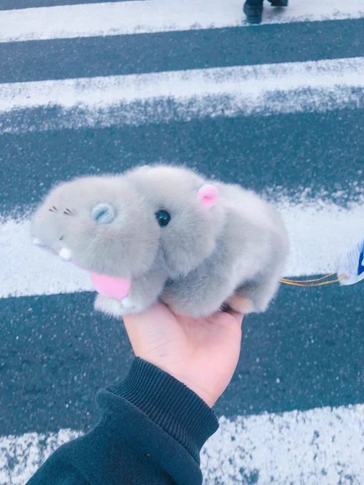 発狂したのち、この子を購入…? 