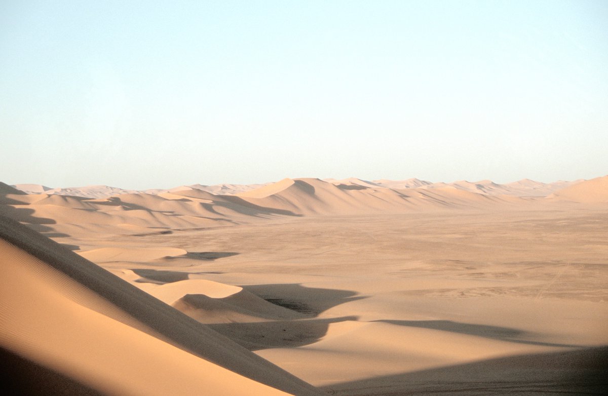 Desert expedition author tweet media