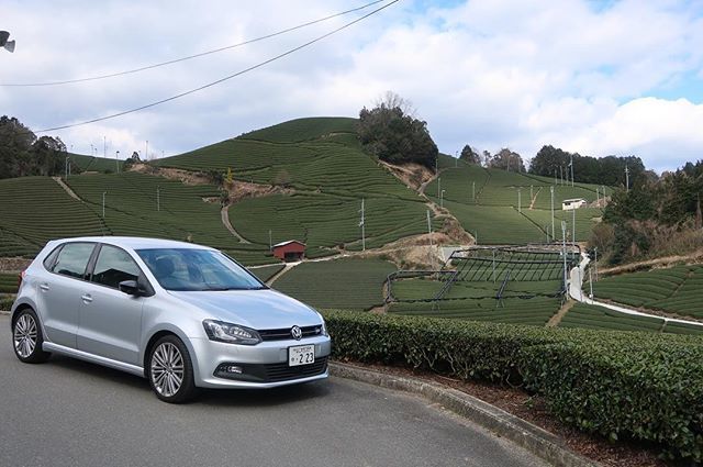 hiromaki0720's tweet photo. 和束の茶畑！ #和束 #茶畑 #vw #vwpolo #polo #polobluegt #bluegt https://t.co/ImVe3xNpMm https://t.co/39NsKqOIrs