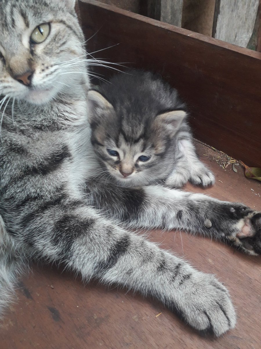 Hellboy_04Py tweet media