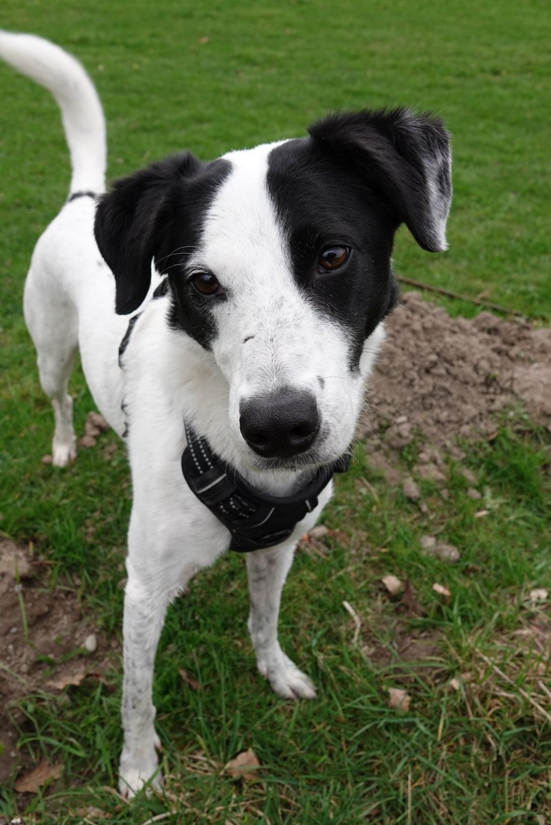 mat jimdog (@jimdogart) on Twitter photo 