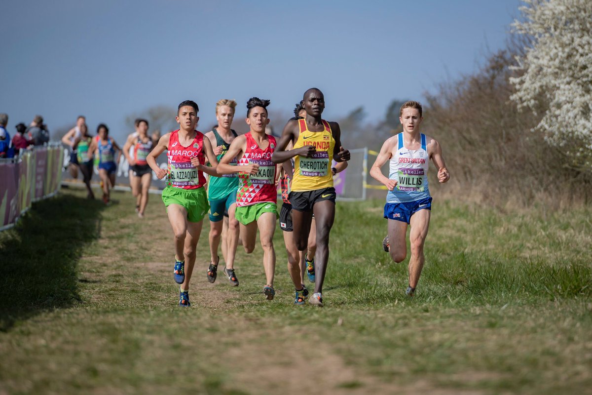 Matt Willis tweet media