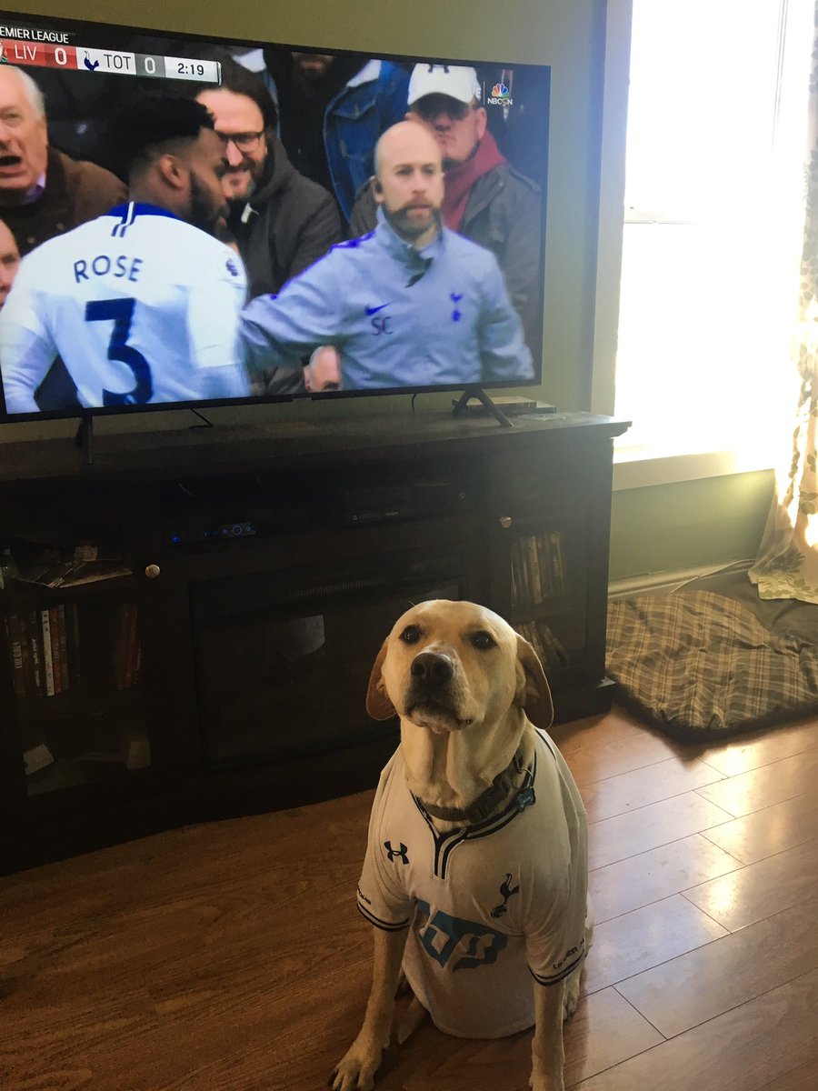 Onslow is so nervous he can’t watch!  #MyPLMorning #COYS <a href="/NBCSportsSoccer/">NBC Sports Soccer</a>