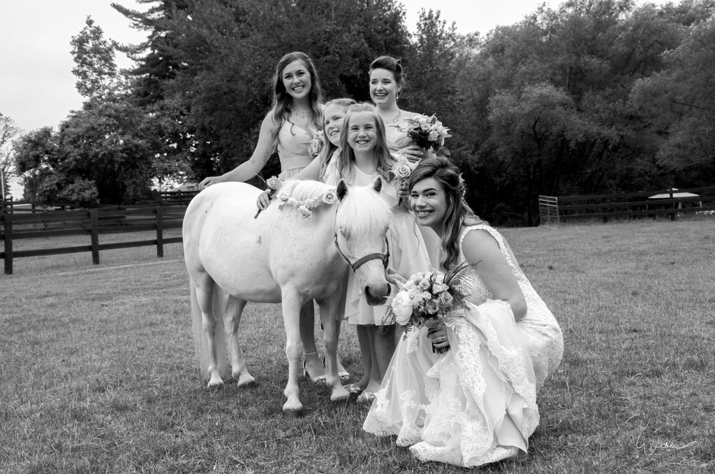 WendyWebbPhoto's tweet photo. #ponypower  #wedding #wendywebbphotography
#greycounty #thornbury #bluemountain #beavervalley #farmwedding #smalltownwedding #lightninja #markdale #meaford #bouquet #bride #groom #details #love #romance #bridetobe #savethedate #weddingday #weddingphotography #countrywedding https://t.co/YRqkKlvyNP