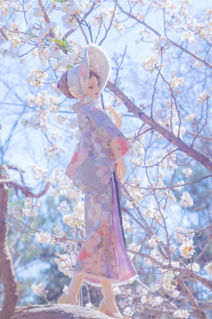 Havealin's tweet photo. #bjd #bjddoll 
出镜：三味线
拍的很开心 https://t.co/t9ghjBVlXV