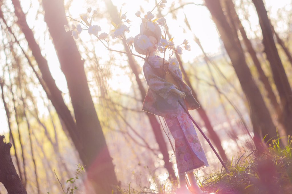 Havealin's tweet photo. #bjd #bjddoll 
出镜：三味线
拍的很开心 https://t.co/t9ghjBVlXV