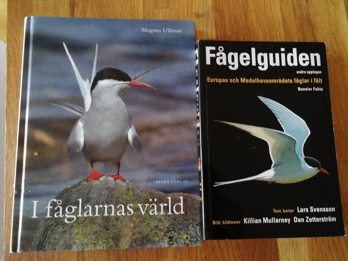 beak_and_talons's tweet photo. My course in ornithology starts tomorrow! #suchexcite https://t.co/u0s54Zyj6g