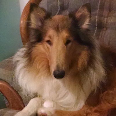 dale_lasson's tweet photo. #NewProfilePic https://t.co/GdtL3DWIBI