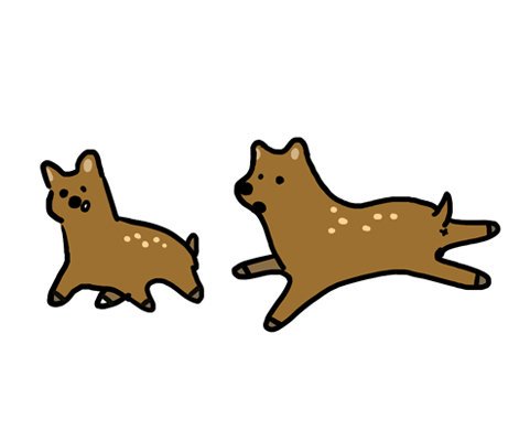 아빠가 농장에서 잠깐 돌봐준 새끼고라니영상 보여줬는데 고라니가 이렇게 귀여웠다니... 볼수록 댕글댕글하고 맹하게 생겼어ㅋㅋㅋㅋㅋㅋ 하얀궁...