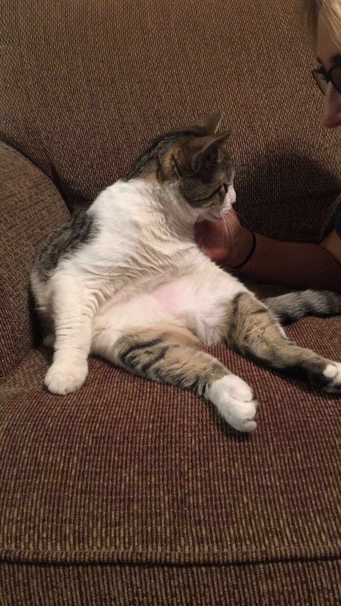 Keagan3901's tweet photo. Kendra and I have to drive home tonight😢 but we get to go home and see our Pablo lol https://t.co/AnbgnCy4SG