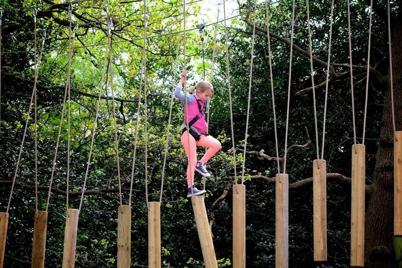 Elmbridge & Kingston (@theelmbridgemag) on Twitter photo Embrace adventure and walk through the sky at <a href="/Skywalkadv/">Skywalk Adventure</a>
essentialsurrey.co.uk/surrey-sw-lond⦠Embrace adventure and walk through the sky at <a href="/Skywalkadv/">Skywalk Adventure</a>
essentialsurrey.co.uk/surrey-sw-londā¦