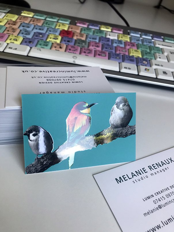 LuminCD's tweet photo. We design business cards with special finishes such as spot varnish seen here.   #business cards #small business design #graphic design # https://t.co/yGZnLEUwyJ
