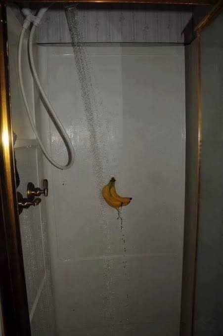 BabanaLatte's tweet photo. cursed bananas on ur tl🍌 https://t.co/c6uD4oljUx
