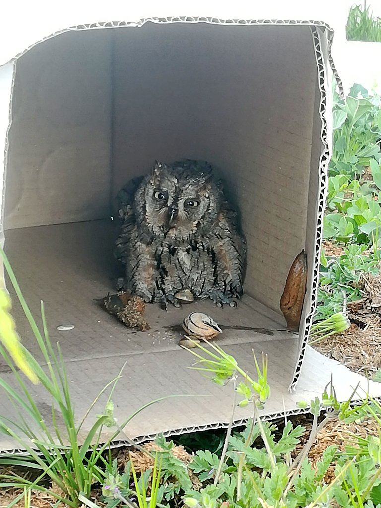 Jacinto Saavit 🏳‍🌈 tweet media