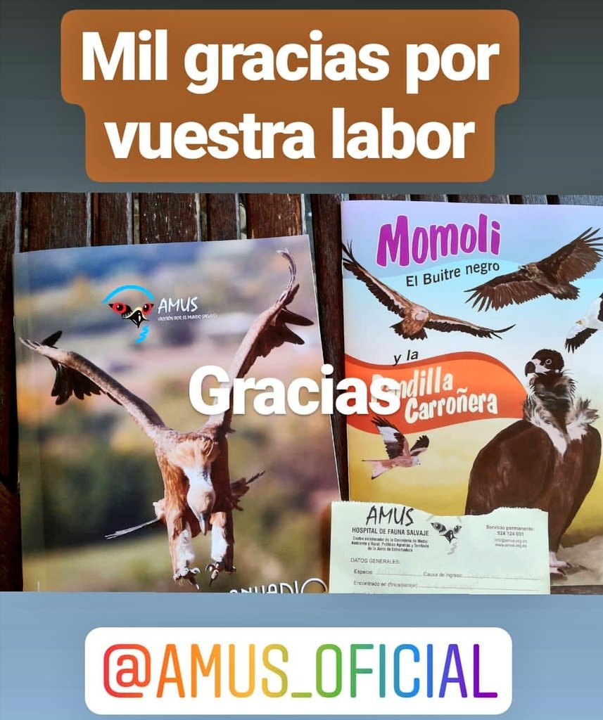 Jacinto Saavit 🏳‍🌈 tweet media