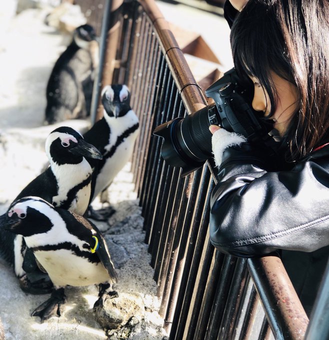 Twitterのコスプレ画像45