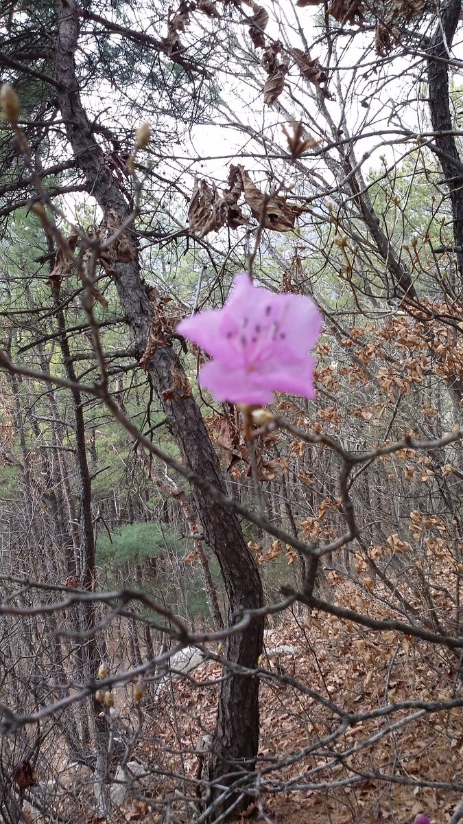 처음 만나던 날
엄청난 설레임
그리운 날이
숨 다하는 날까지
사랑함이
영원하기를
가슴속에 순수함으로
별빛처럼 반짝입니다
그대는 언제나...