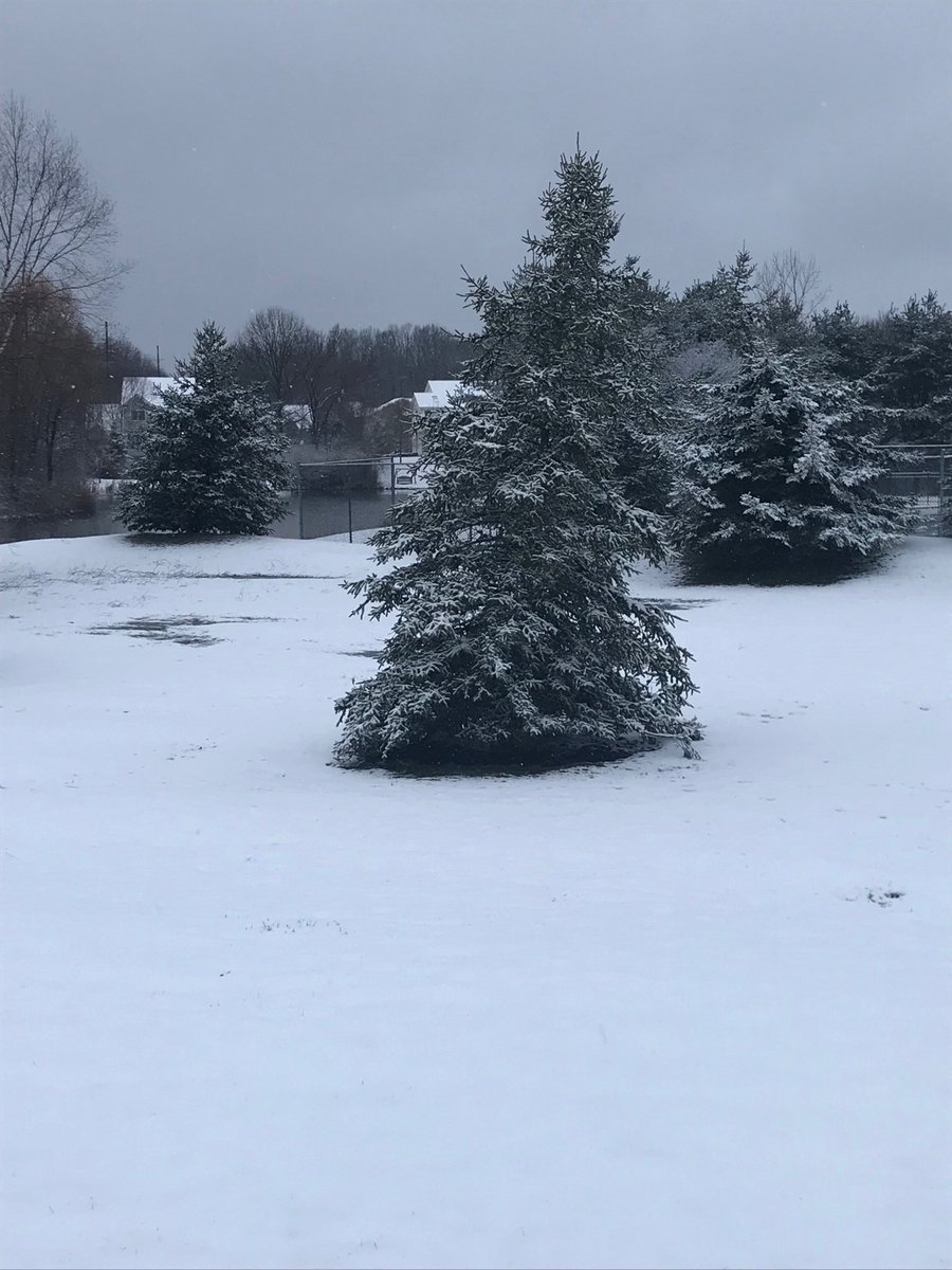 PeggyGallek's tweet photo. Happy Spring morning in Ohio!! #spring #clevelandspring https://t.co/ju3AniVPR4