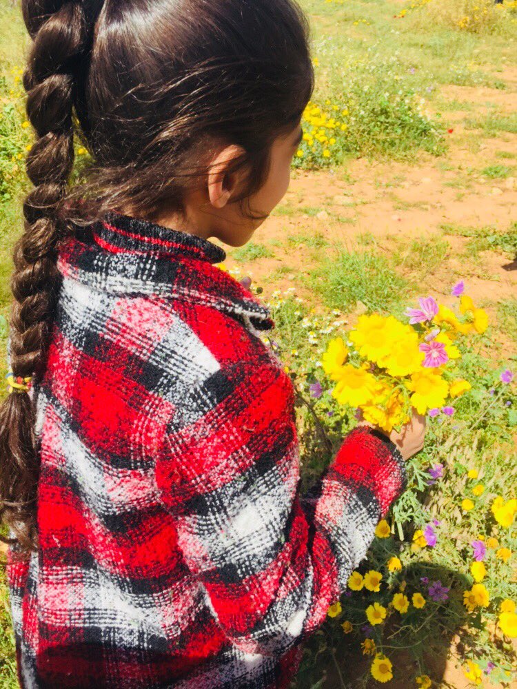 nano_al's tweet photo. الطبيعه الجميله 🌼🙆‍♀️💕 https://t.co/AE4VLf6dkf